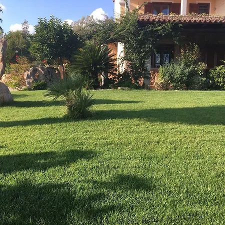 Anastasia קוניאנה